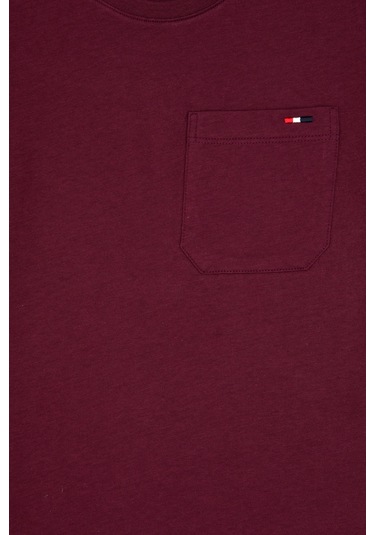 U.s. Polo Assn. Erkek Çocuk Plum Tişört 50314946-vr177 New Plum