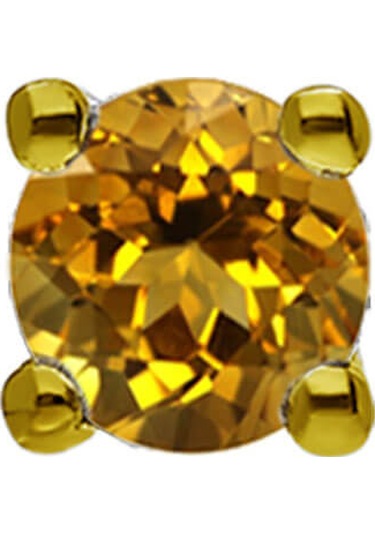 Sirius Sitrin Tektaş Erkek Küpesi 0823E0049