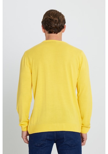 AC&Co / Altınyıldız Classics Erkek Sarı Standart Fit Normal Kesim Bisiklet Yaka Triko Sarı