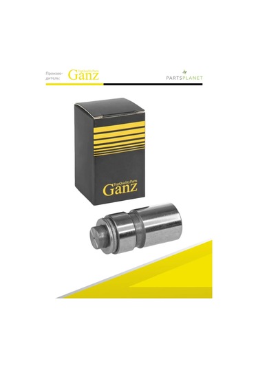 Ganz Ford Fiesta, Escort, Chery Amulet İçin Su Emici Valf 271179666