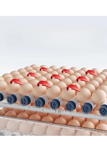 Epo-w64 Tam Otomatik Kuluçka Makinesi 64 Yumurta Kapasiteli Civciv Kaz Ördek Uyumlu + Yedek Motor