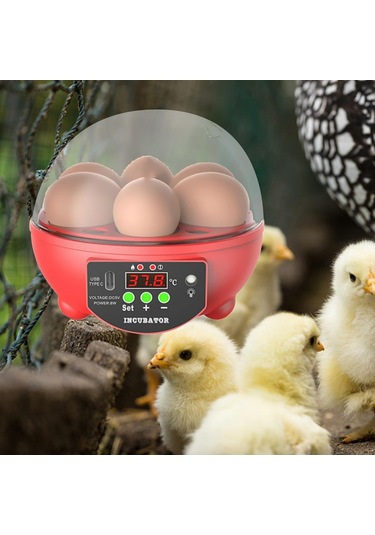 Homyl Yumurta Kuluçka Makineleri Otomatik Civciv Ördek Için