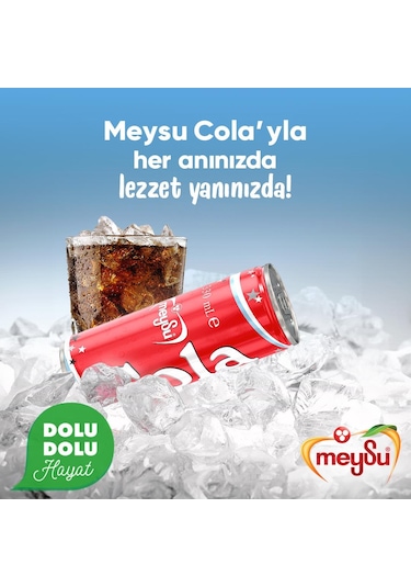 Meysu Kola 330 Ml X 24 Adet