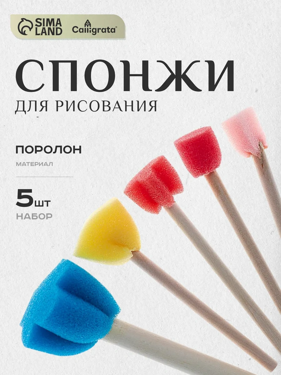 Calligrata 5'li Sünger Ve Fırça Seti 12714518