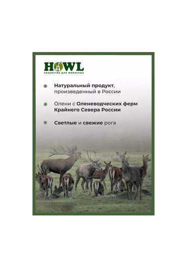 Howl Xl 280-320 Gr Geyik Boynuzları Oyuncağı 160280699