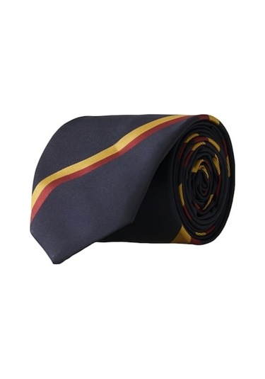 Altınyıldız Classics Erkek Lacivert - Sarı Desenli Klasik Nano Kravat 4A2121100043Lasstn Lacivert - Sarı