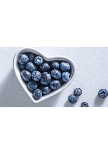 Gojiberry Turkiye Yaban Mersini Fidanı Mavi Yemiş Blueberry 2 Yaş