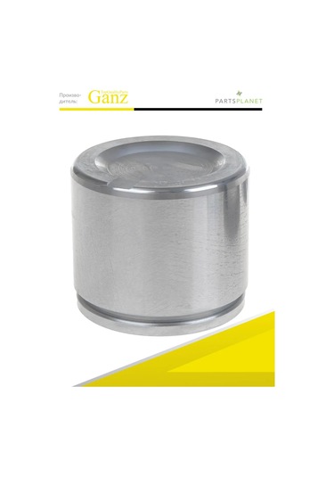 Ganz Chevrolet Aveo, Opel İçin Ön Kaliper Onarım Takımı Pistonlu 179775580