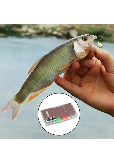 Homyl Bağlı Sinekler Seti Yapay Yem Balıkçılık Cazibesi D