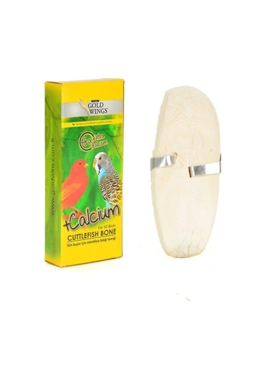 Classic Kutu Mürekkep Balığı Kemiği