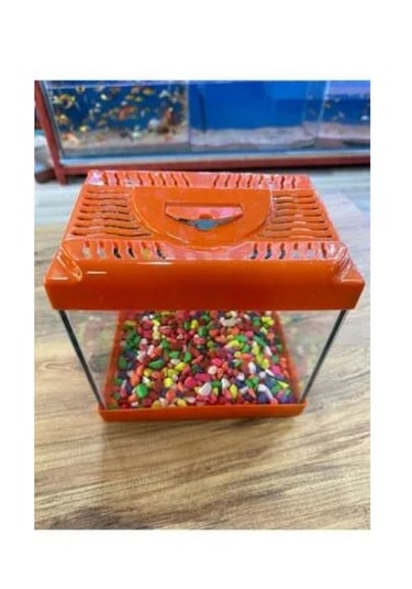Canlipetshop Turuncu Renkli Mini Kare Akvaryum 20x20x15 CM