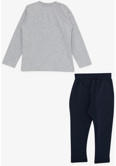 Erkek Bebek Dinazor Baskılı Eşofman Takım-13390-grı Gri