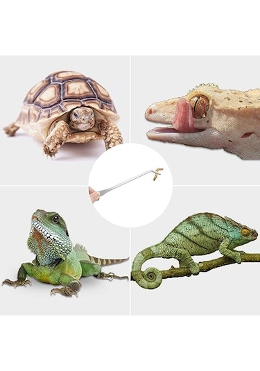 Shineyee Paslanmaz Çelik Besleme Cımbızı, Sürüngen Besleme Cımbızı, Balık, Akvaryum, Sürüngen, Yılan, Kertenkele, Örümcek Ve Kuşlar İçin Uzun Saplı B-42