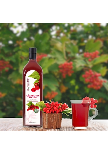 Hanzade Bitkisel Gilaburu Suyu Nektarı Şekersiz 2 x 1 L