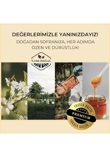 Turan Bal ve Yöresel Kestane Balı 850 G