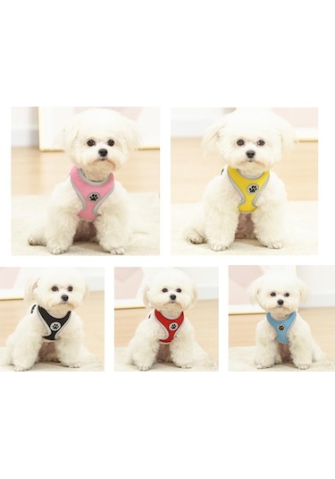 siyah köpek yavrusu beyaz göğüs