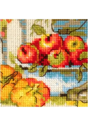 Rıolıs Damalı Sonbahar Nakış Seti 20x30 Cm 1657 261242919