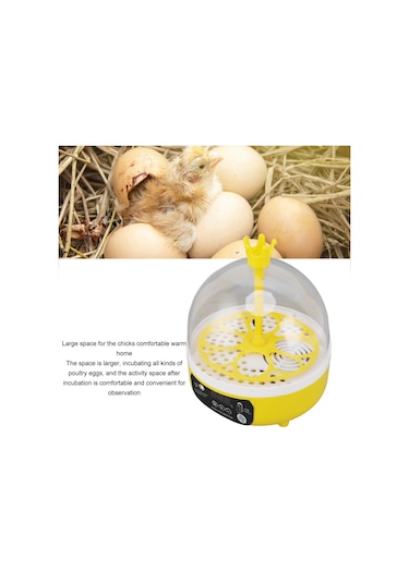 Qfbl Ev Için Mini Yumurta Kuluçka Makinesi Otomatik Sıcaklık Nem