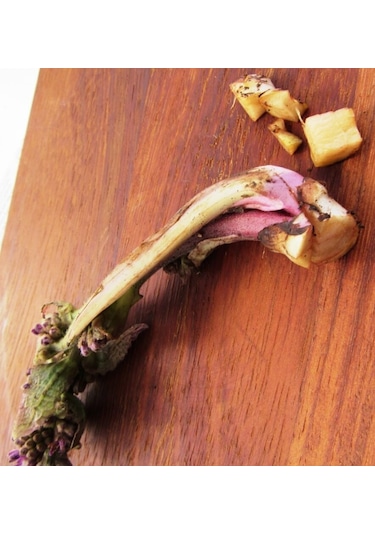 500 Gr Kaldirik - Hodan - Ispıt Otu