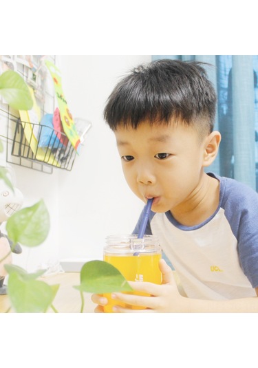 Skycity Yiyecek Kalitesi Silikon Katlanabilir Pipet Seti: Taşınabilir Kapsül Kutusu + Temizleme Fırçası - Küçük Gri