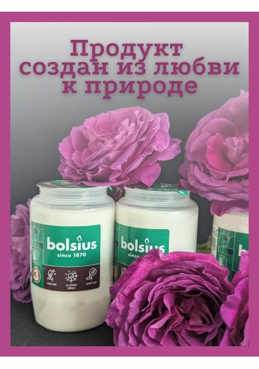 Bolsius Mezarlık İçin Sönmeyen Lamba Parafin Mum Seti 184059373 Beyaz