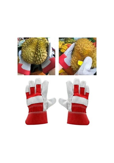 Trendooze Suntek Durian Eldivenleri, Kırmızı, Diken Dayanıklı Toplama Eldiven