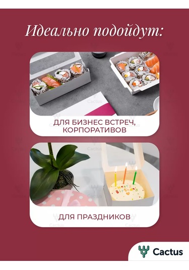 Cactus Kendin Yap Hediye Kutusu, Kağıt Dolgu Malzemesi İle 209739738