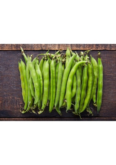 200 Adet Tohum Nadir Organik Bakla Tohumu Sürpriz Hediye Tohumludur