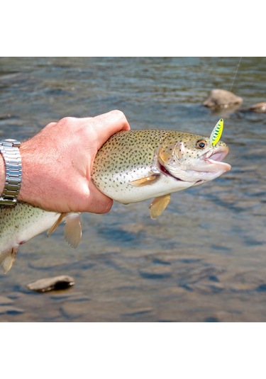 Tenfowee A01 20 Adet Metal Yem Seti - Renkli Parlak Flasher, Balık Çekici, İki Kanal Ve Kutulu Olta Takımı