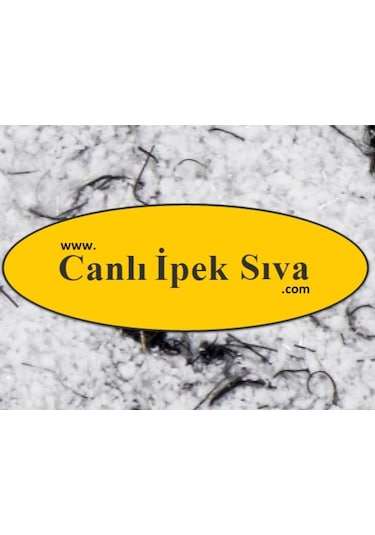 Dekoratif Canlı Sıva (71927009)