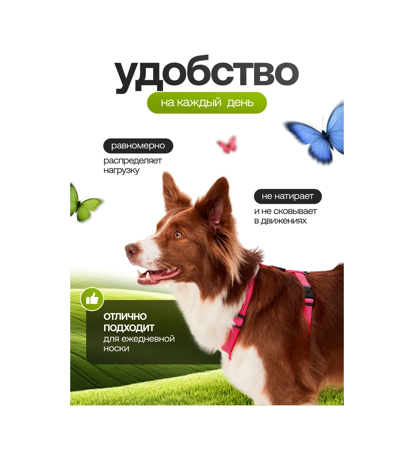 Petfort Köpekler İçin Anatomik Tasma 431184189