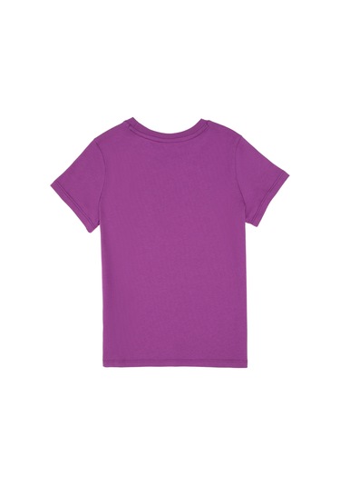 U.s. Polo Assn. Erkek Çocuk Menekşe Tişört Basic 50306483-vr037 Menekse Lila