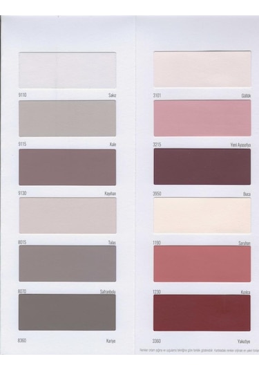 Fbs Exterio Silikonlu Dış Cephe Boyası 3.5 Kg Akasya Diğer