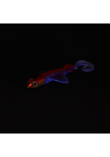 Jlc Fly 170 Set 17cm 180gr 01 Real Red Silikon Balık