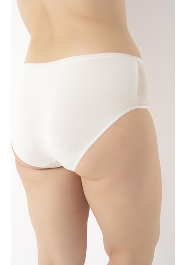 Kadın Büyük Beden Dantelli 4'lü Paket Külot Asorti-2 C4t0n5o408 001