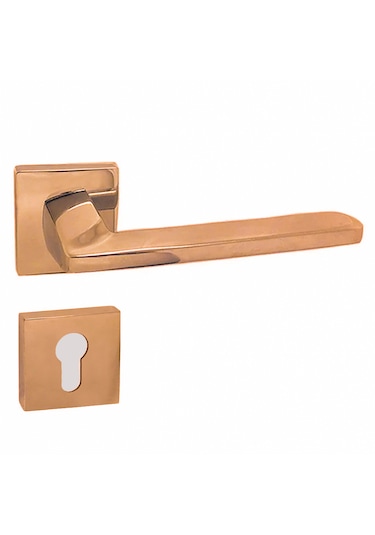 DOĞANLAR RADYA ALBİRİFİN  ROZETLİ  YALE KAPI KOLU