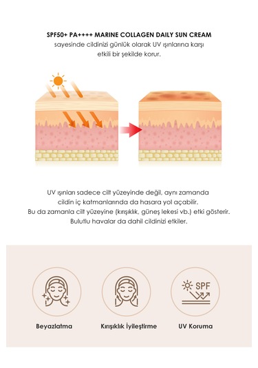 Aydınlatıcı & Kırışıklık Karşıtı Güneş Kremi Günlük Kullanıma Uygun, Hafif Yapı 70ml