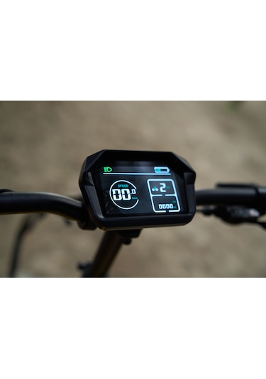 Ape Ryder Loris Elektrikli Bisiklet - Gri