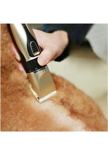 Venturemart Kedi Köpek Bakım Seti - Elektrikli Giyotin - Altın