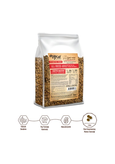 Mycat Original Az Tahıllı Kuzu Etli Yetişkin Kedi Maması 1 KG