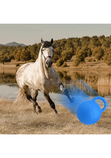 Homyl At Oyuncak Oyun Topu Meyve Kokulu Pet Joy Rastgele-renk Rastgele Renk