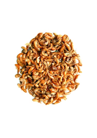 Gammarus 1000ml + Lotus Turtle Sticks 250ml Kaplumbağa Yemi