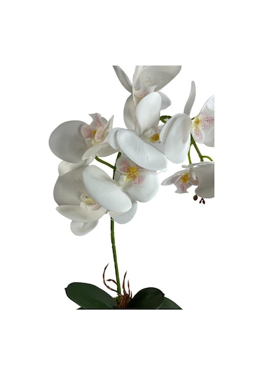 Nettenevime Kütük Saksılı Tekdal Islak Orkide Yapay Çiçek Beyaz 50 x 30 CM