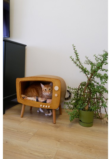 Huncar Kedi Evi Ahşap Retro Tv Dekoratif Kedi Evi İç Mekan Kediler İçin