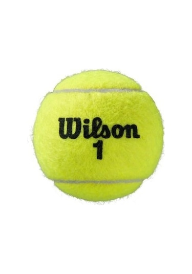 Wilson Roland Garros 3'lü Tenis Topu Wrt125000
