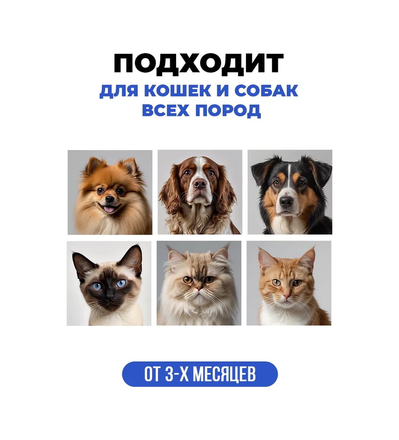 Spets Kedi Ve Köpekler İçin Pire Ve Kene Şampuanı 250 Ml 197789233