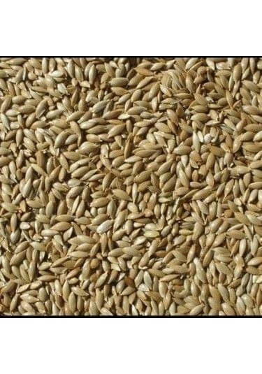 Vivid Sade Kanarya Yemi Bölünmüş 10 KG