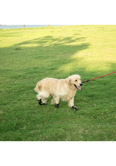 Qingmipy Köpekler İçin Dışarıda Kullanım Botları - Su Geçirmez, Kaymazlı, Havalandırmalı, Yansıtıcı 4 Numara