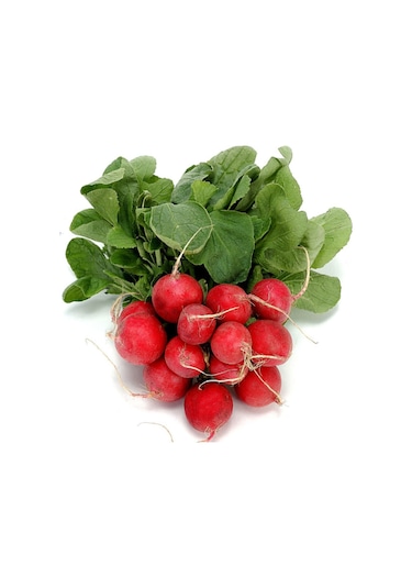 Kırmızı Iri Turp Tohumu Kırmızı Turp Tohumu 50 Adet Tohum