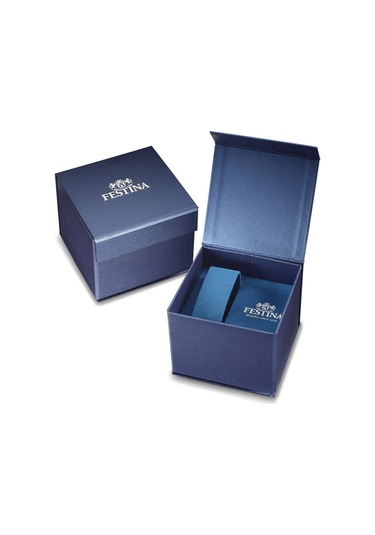 Festına F20742/1 Tımeless Chronograph Erkek Kol Saati Gri